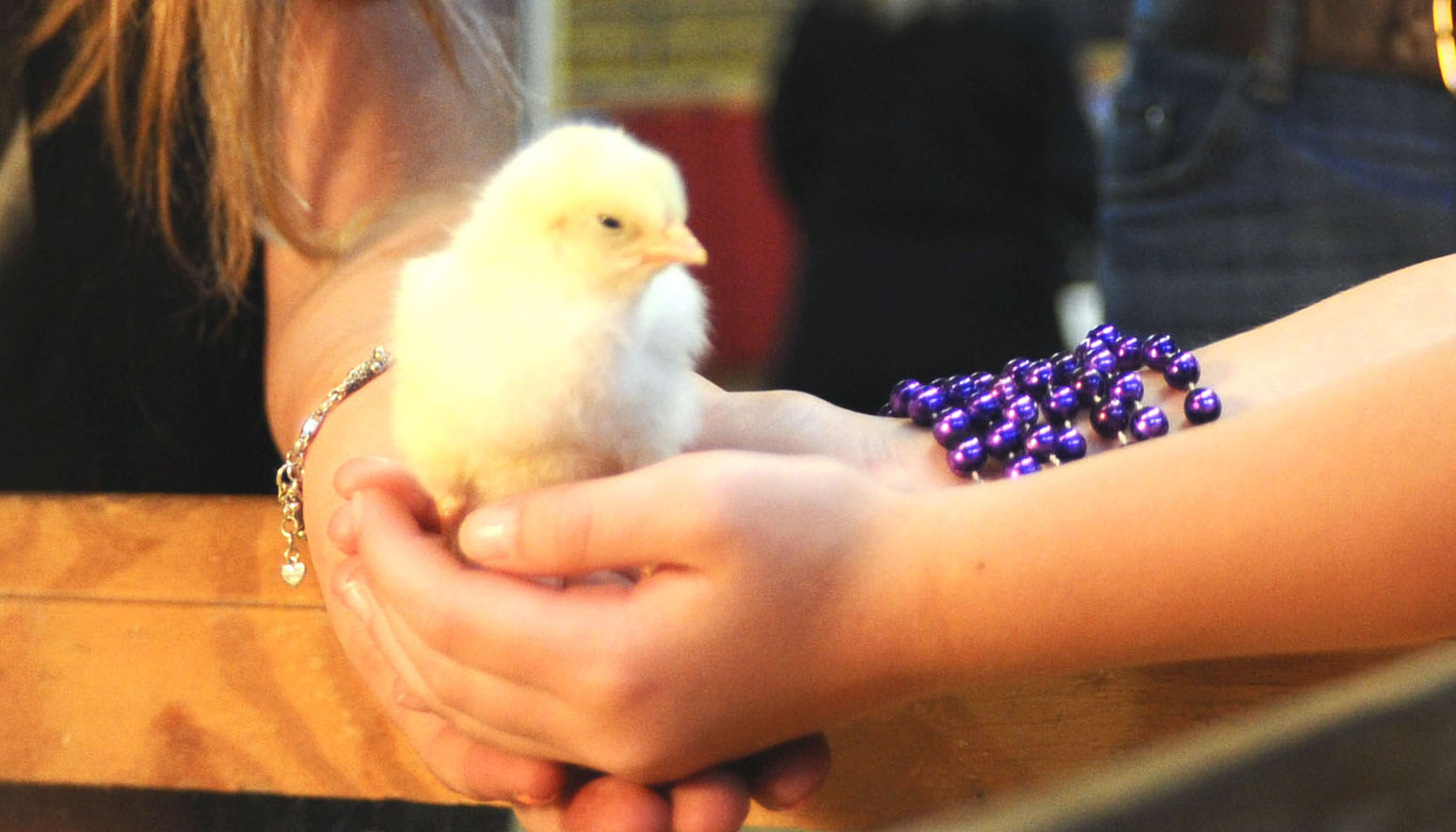 AgMagic Cenla debuts Nov. 14-15